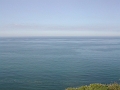 DSCN3930