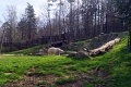 IMG_20230406_105259