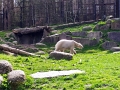 IMG_20230406_105617