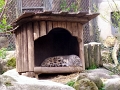 IMG_20230406_110846
