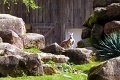 IMG_20230406_112201