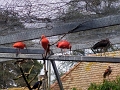 IMG_20230406_113408