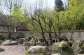 IMG_20230406_114338