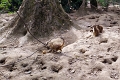 IMG_20230406_130055