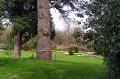 IMG_20230406_130122