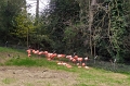 IMG_20230406_130206