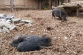 IMG_20230406_134508