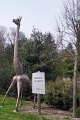 IMG_20230406_135335