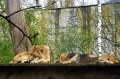 IMG_20230406_142201