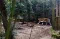 IMG_20230406_142649