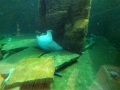 IMG_20230406_143331
