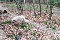 IMG_20230406_143936